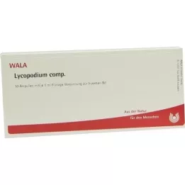 LYCOPODIUM COMP.Ampuller, 10X1 ml
