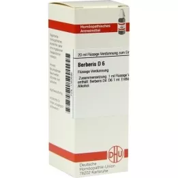 BERBERIS D6 Fortynning, 20 ml