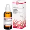 BERBERIS D 4 fortynning, 50 ml