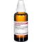 BERBERIS D 4 fortynning, 50 ml