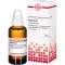 BERBERIS D 6 Fortynning, 50 ml
