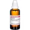 BERBERIS D 6 Fortynning, 50 ml