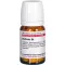 BERBERIS D 4 tabletter, 80 stk