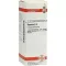 BRYONIA D4 fortynning, 20 ml
