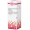 CACTUS D 2 Fortynning, 20 ml