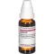CACTUS D 2 Fortynning, 20 ml