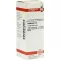CANTHARIS D4 fortynning, 20 ml