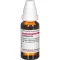 CANTHARIS D6 Fortynning, 20 ml