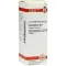 CHELIDONIUM D6 Fortynning, 20 ml