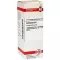 COLCHICUM D6 Fortynning, 20 ml