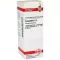 COLOCYNTHIS D4 fortynning, 20 ml