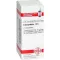 COLOCYNTHIS D 6 kuler, 10 g