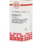 GRAPHITES D 12 kuler, 10 g