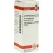 HAMAMELIS D 2 Fortynning, 20 ml