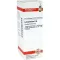 LYCOPODIUM D6 Fortynning, 20 ml