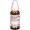 LYCOPODIUM D6 Fortynning, 20 ml