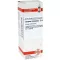 LYCOPUS VIRGINICUS D6 Fortynning, 20 ml