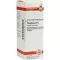 PHOSPHORUS D6 Fortynning, 20 ml
