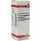 RHUS TOXICODENDRON D6 Fortynning, 20 ml