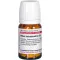 RHUS TOXICODENDRON D 6 tabletter, 80 stk