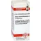 RHUS TOXICODENDRON D 4 kuler, 10 g