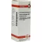 SECALE CORNUTUM D6 Fortynning, 20 ml