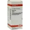 SEPIA D 4 tabletter, 80 stk