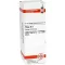 THUJA D3 fortynning, 20 ml