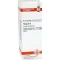 THUJA D4 fortynning, 20 ml