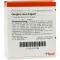 GINGIVA SUIS Injeel ampuller, 10 stk