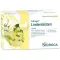 SIDROGA Lindeblomst tefilterposer, 20X1,8 g