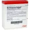 ECHINACEA INJEEL Ampuller, 10 stk