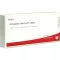 ARTICULATIO talocruralis komp. ampuller, 10X1 ml