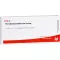 PERIODONTIUM/STANNUM komp. ampuller, 10X1 ml