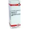 HYPERICUM D6 Fortynning, 20 ml