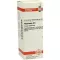 PHYTOLACCA D6 Fortynning, 20 ml