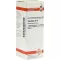 PULSATILLA D 12 Fortynning, 20 ml