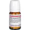 RHUS TOXICODENDRON D 30 tabletter, 80 stk