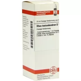 RHUS TOXICODENDRON D 12 Fortynning, 20 ml