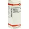 RHUS TOXICODENDRON D 12 Fortynning, 20 ml