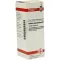 ROBINIA PSEUDACACIA D3 fortynning, 20 ml