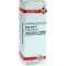 SALIX ALBA D 1 fortynning, 20 ml