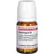 STAPHISAGRIA D 6 tabletter, 80 stk