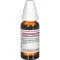 SYZYGIUM JAMBOLANUM D 2 Fortynning, 20 ml