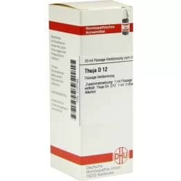THUJA D 12 Fortynning, 20 ml