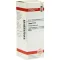THUJA D 12 Fortynning, 20 ml