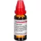 THUJA EXTERN Tinktur, 20 ml