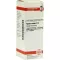 AGNUS CASTUS D6 Fortynning, 20 ml