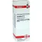 CAMPHORA D4 fortynning, 20 ml