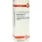 ALLIUM CEPA D3 fortynning, 20 ml